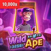 Dịch vụ hỗ trợ VIP tận tâm